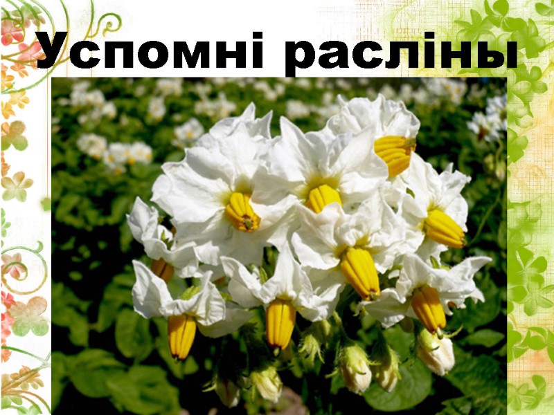 Успомні расліны